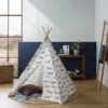 Dash Tee Pee -Dream Home Art 21303401 P