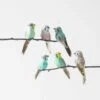 Feather Budgie On Clip Set Of 6 1 Feather Budgie On Clip Set Of 6 -Dream Home Art 21603001 P