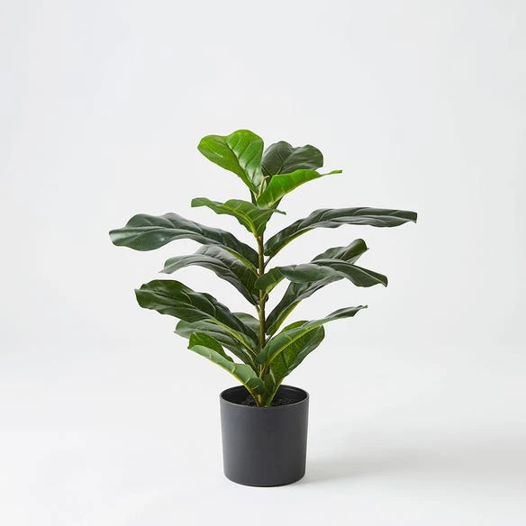 Real Touch Fiddle Leaf Tree 50cm 3 Real Touch Fiddle Leaf Tree 50cm