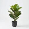Real Touch Rubber Tree 58cm 1 Real Touch Rubber Tree 58cm -Dream Home Art 21689801 P