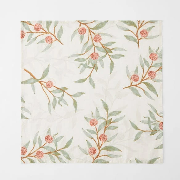 Hakea Napery 3 Hakea Napery